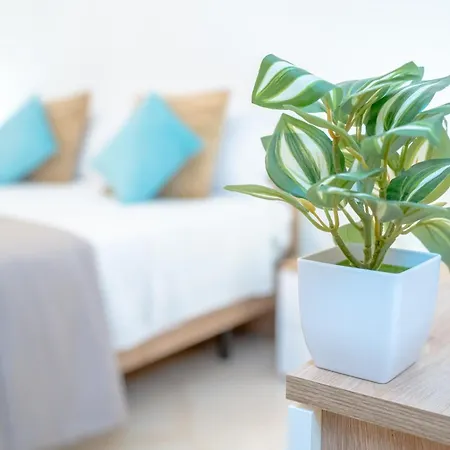 Appartement Dimora Dante 310 Bari