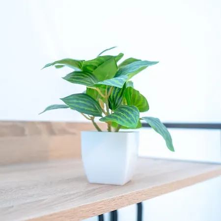 Dimora Dante 310 Bari