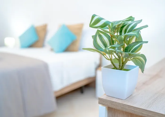 Apartmán Dimora Dante 310 Bari